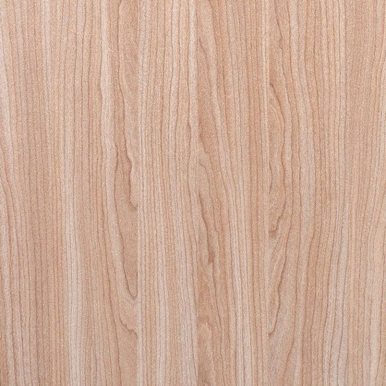 Enduro folija - Beljeni brest